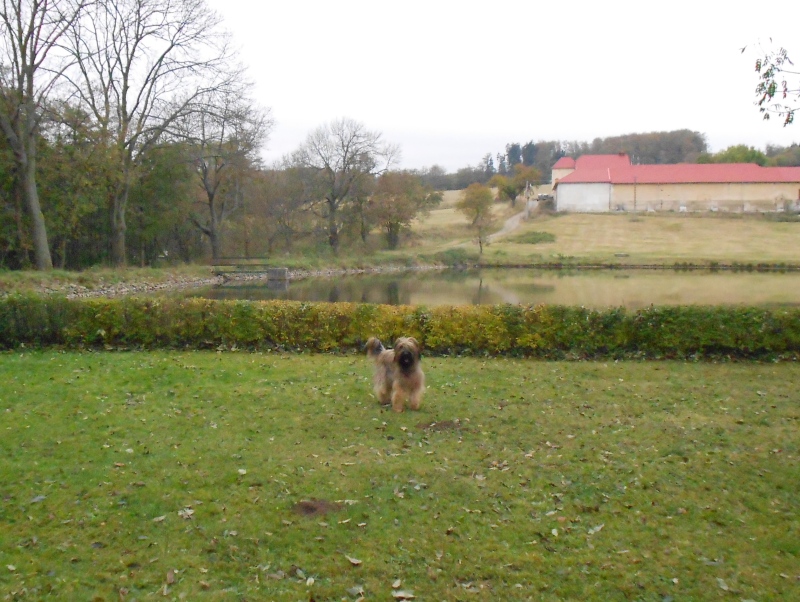 DSCN0354 (1)1