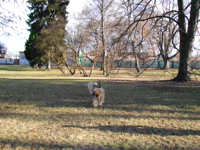 DSCN0402 (1)1