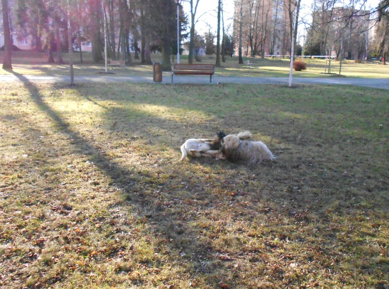 DSCN0404 (1)1