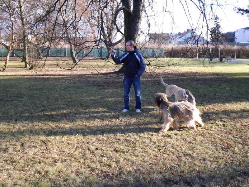 DSCN04011