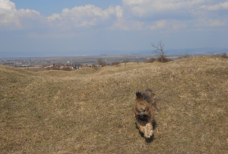 DSCN0430 (1)1