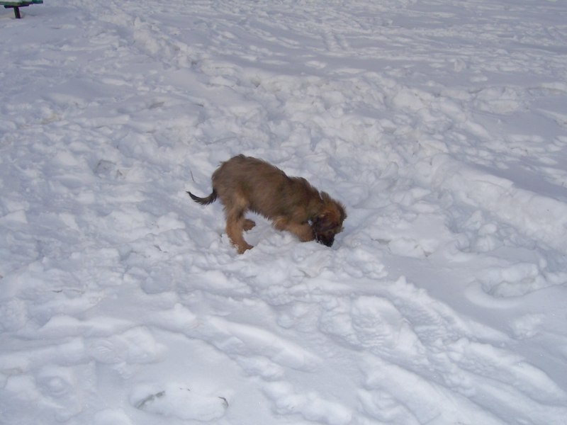 100_05361.jpg