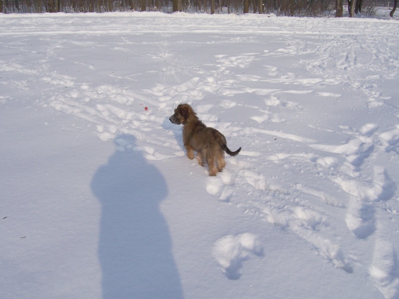 100_05451.jpg