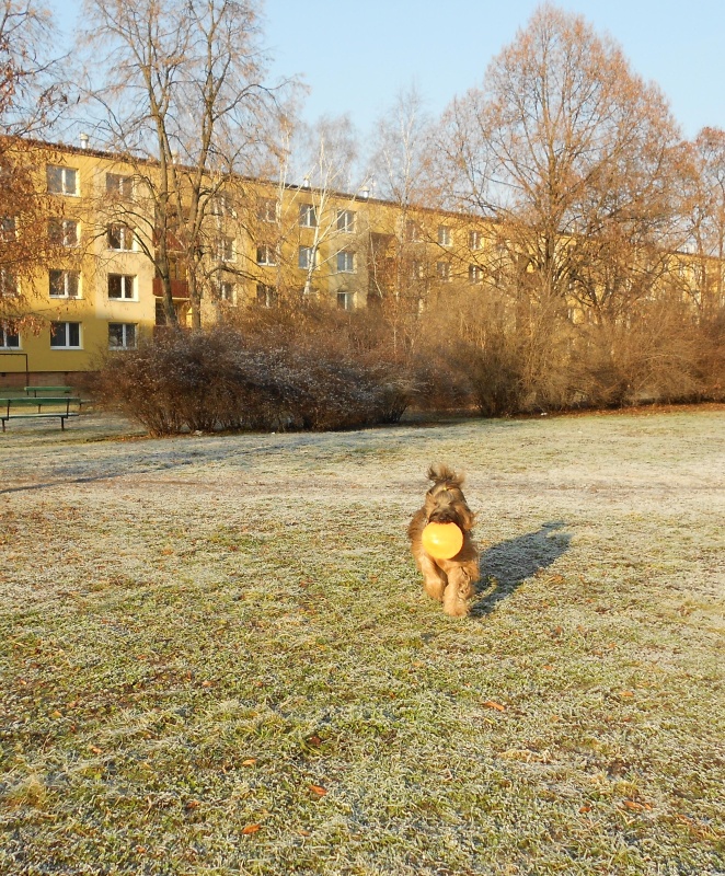DSCN0671 (1)