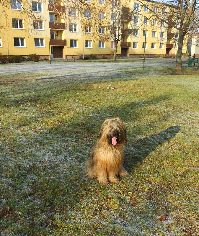 DSCN0675 (1)