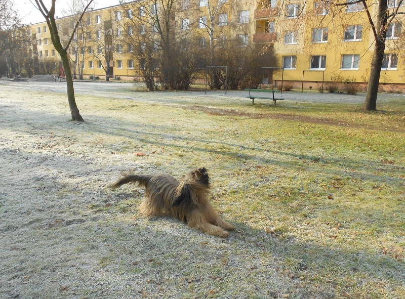 DSCN0676 (1)