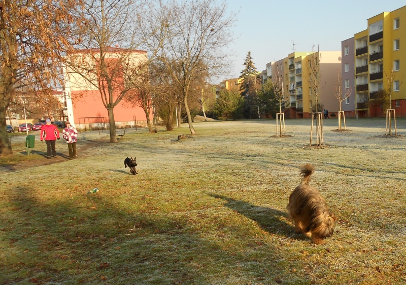 DSCN06851