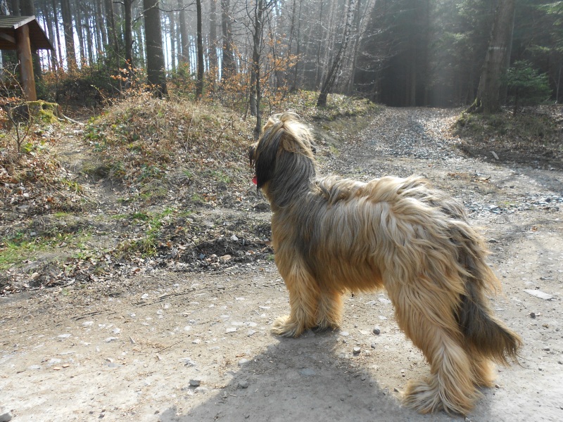 DSCN09341