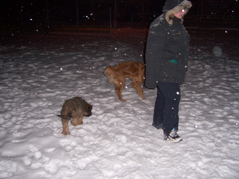 100_05771.jpg