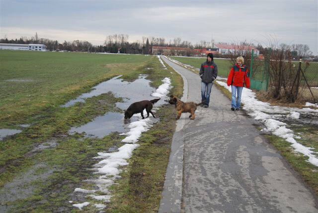 DSC_0062a.jpg