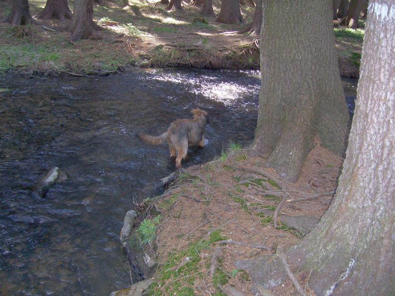 100_06021.jpg