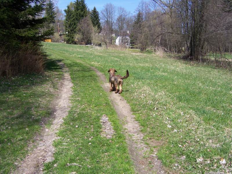 100_06111.jpg