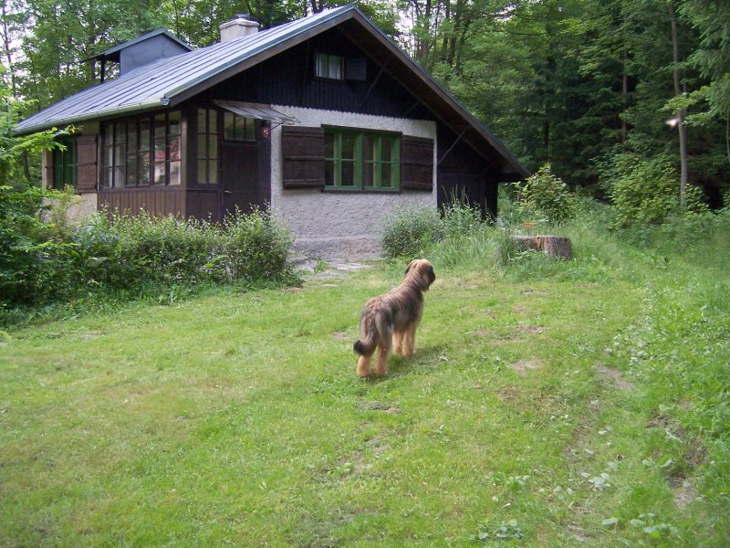 100_06481.jpg