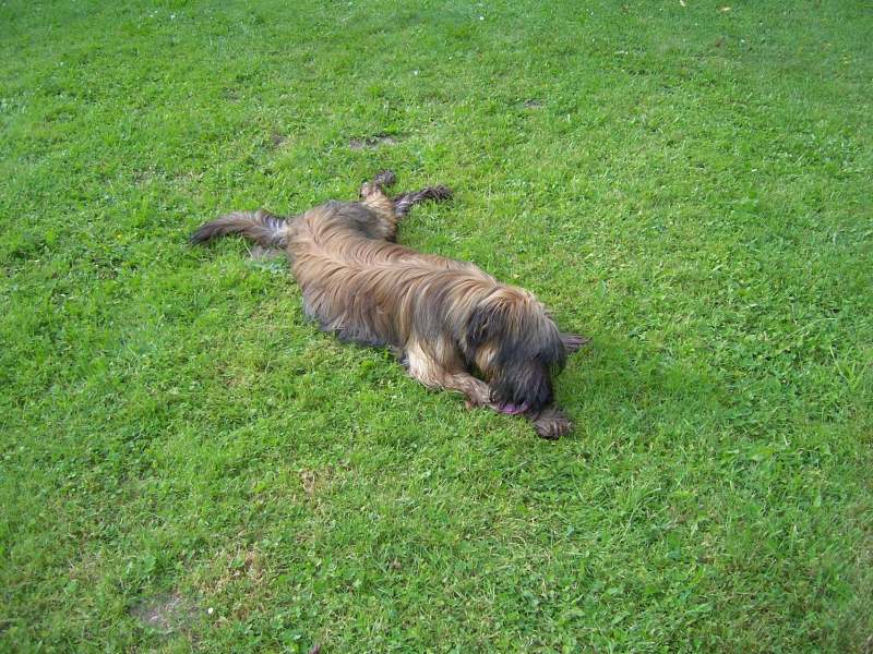 100_06661.jpg